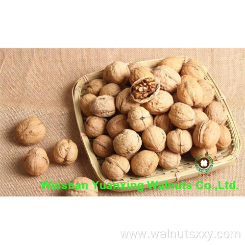 Sweet and Crispy Chinese Walnut kernels Light Pieces(LP)